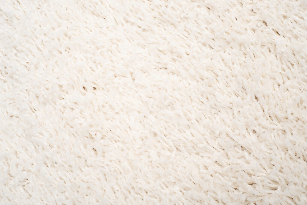 Tappeto Boho con Frange Crema Shaggy