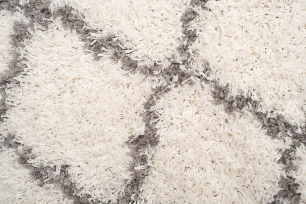 Tappeto Boho con Frange Crema Trellis Shaggy