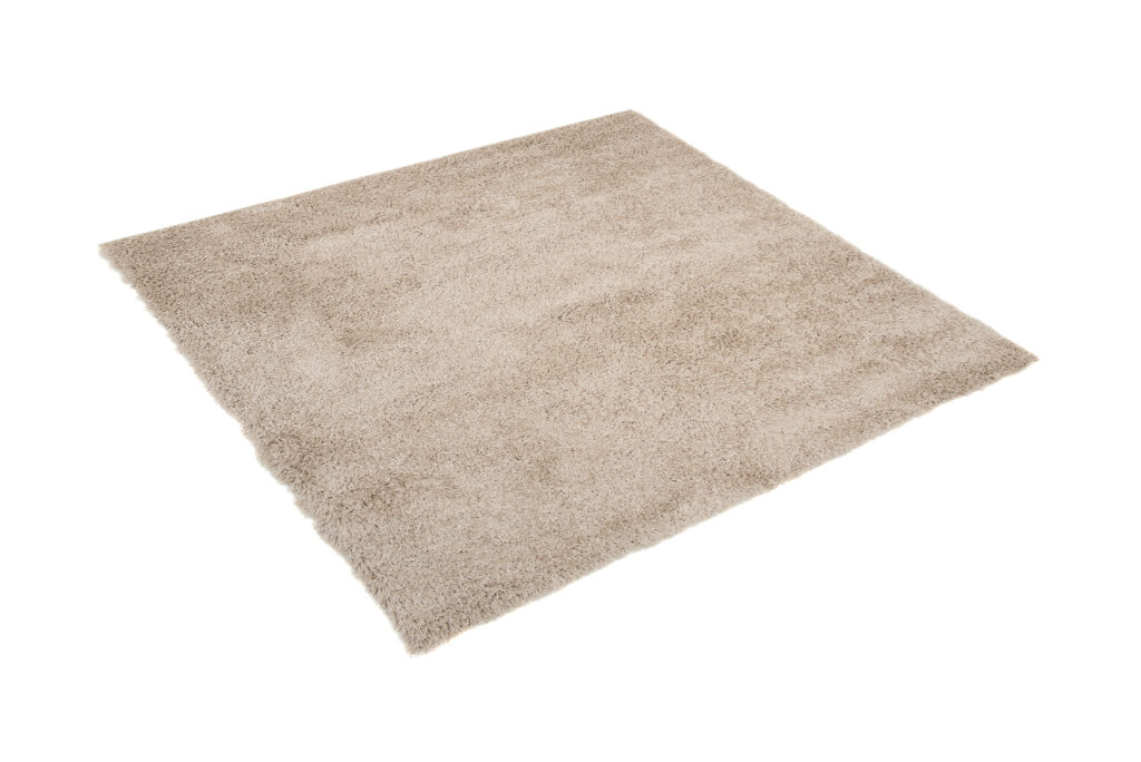 Tappeto Essence Quadrato Shaggy Beige Scuro