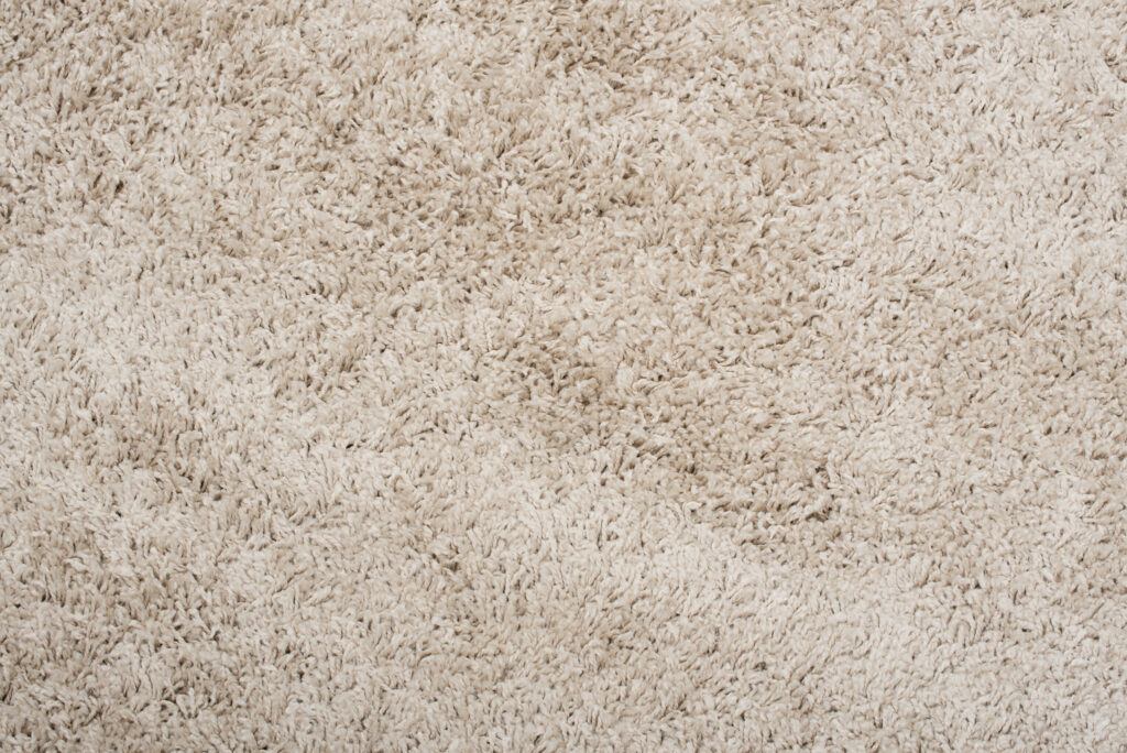 Tappeto Essence Quadrato Shaggy Beige Scuro