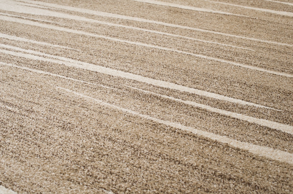 Tappeto Sari Moderno Beige Marrone  Astratto Onde