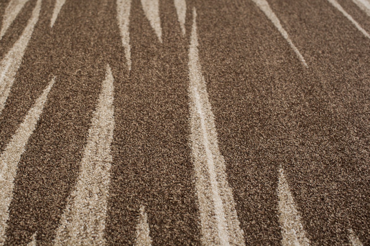 Tappeto Sari Moderno Marrone Astratto Onde Ondato