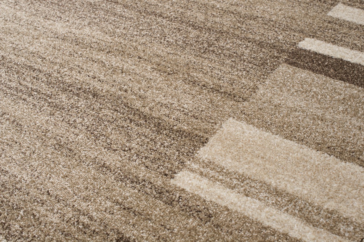 Tappeto Sari Moderno Marrone Beige Puntinato