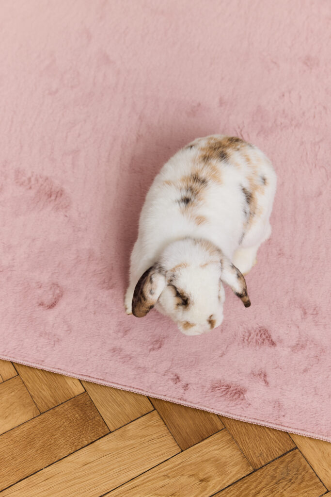 Tappeto Lumi Quadrato Rosa Antiscivolo