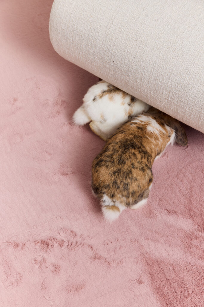 Tappeto Lumi Quadrato Rosa Antiscivolo