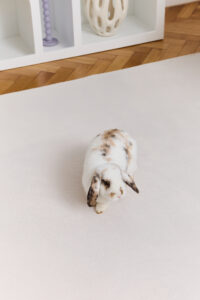 Tappeto Lumi Quadrato Crema Antiscivolo