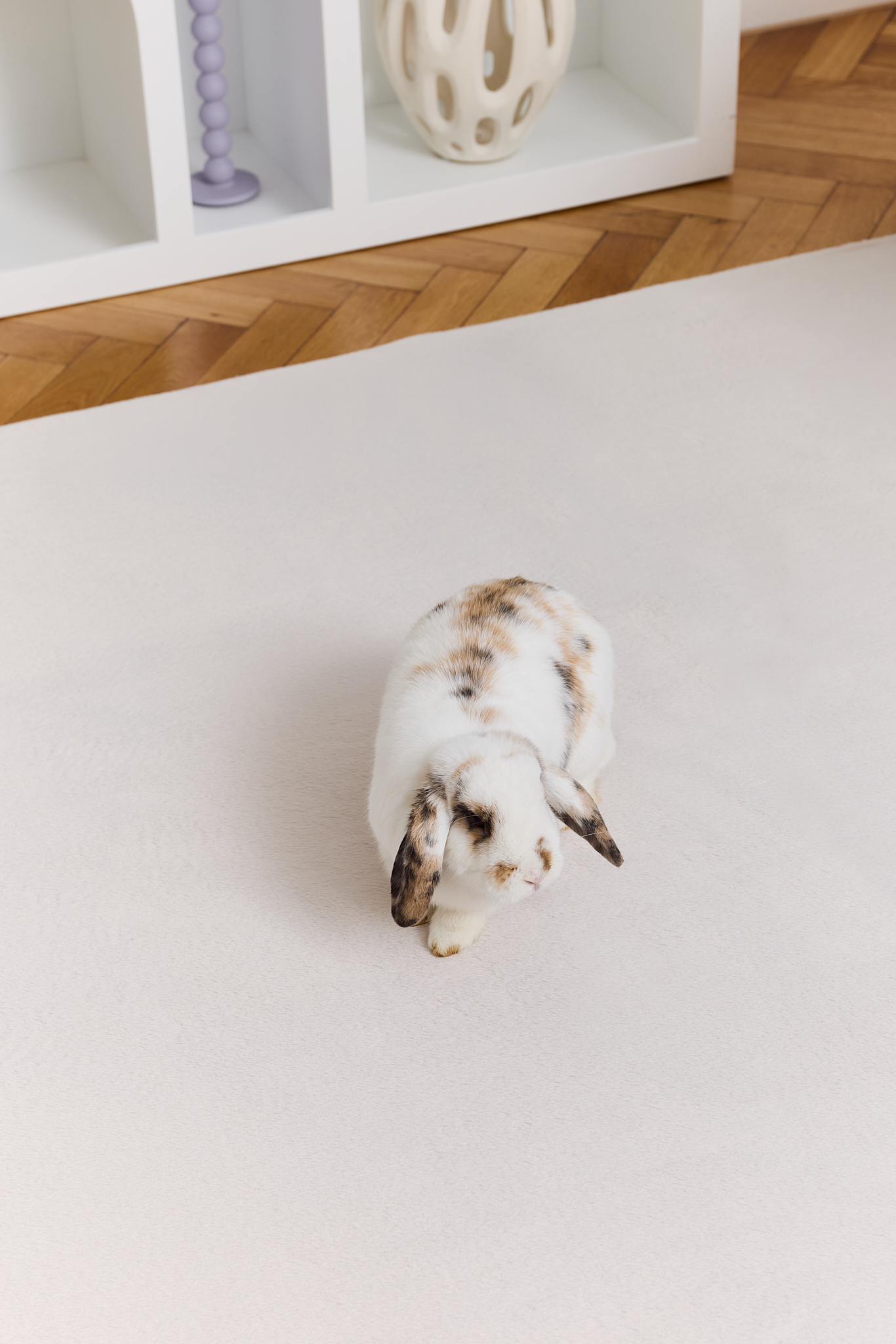 Tappeto Lumi Quadrato Crema Antiscivolo