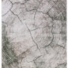Tappeto Como Beige Verde a Tronco d'Albero