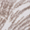 Tappeto Como Beige Chiaro Struttura Legno