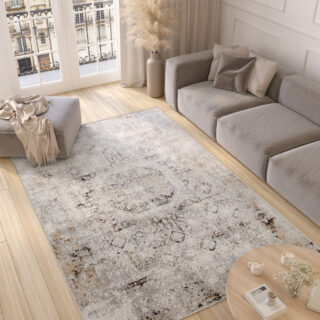 Tappeto Valley Grigio Beige Vintage Ornamenti