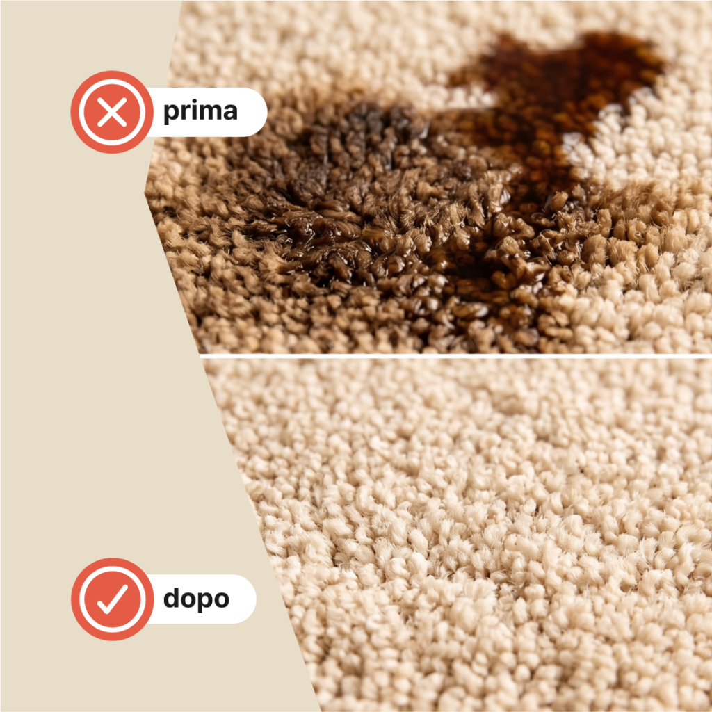 Rug Cleaner Detergente Universale per Tappeti