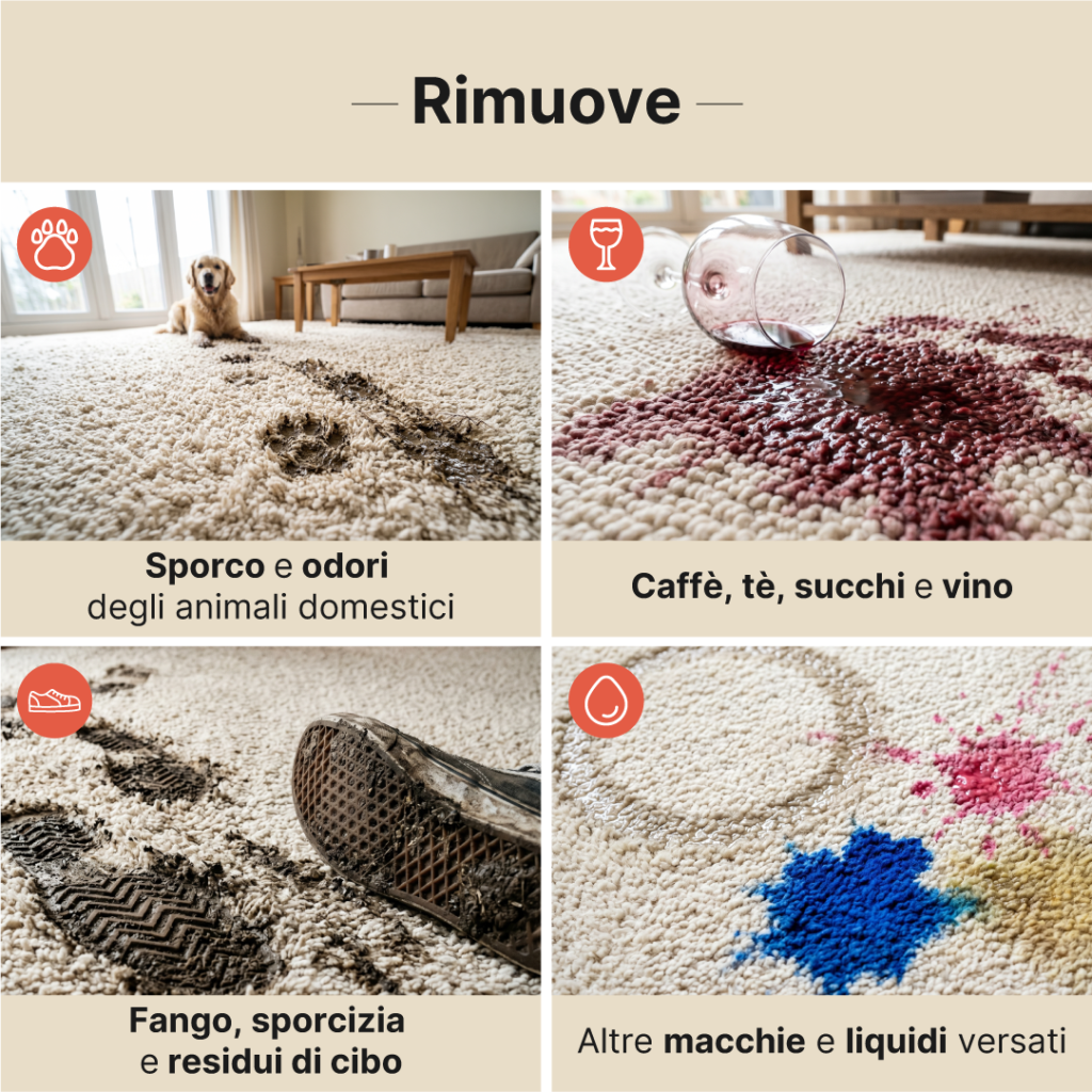 Rug Cleaner Detergente Universale per Tappeti