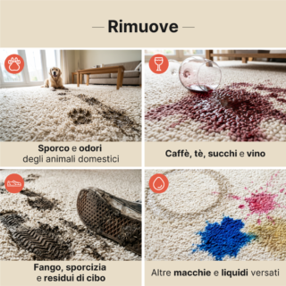 Rug Cleaner Detergente Universale per Tappeti