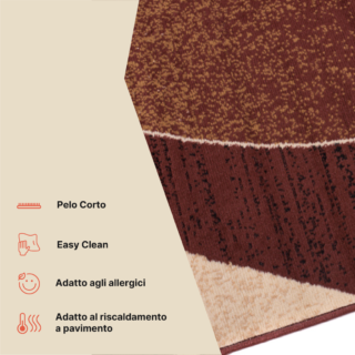 Tappeto Dream Moderno Marrone Scuro Onde Crema